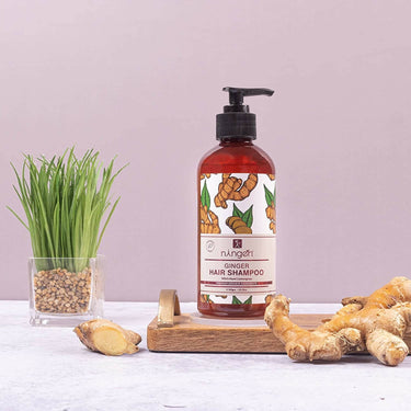 https://cdn.shopify.com/s/files/1/1857/6931/products/EC50ifRmdI.jpg?v=1666434219